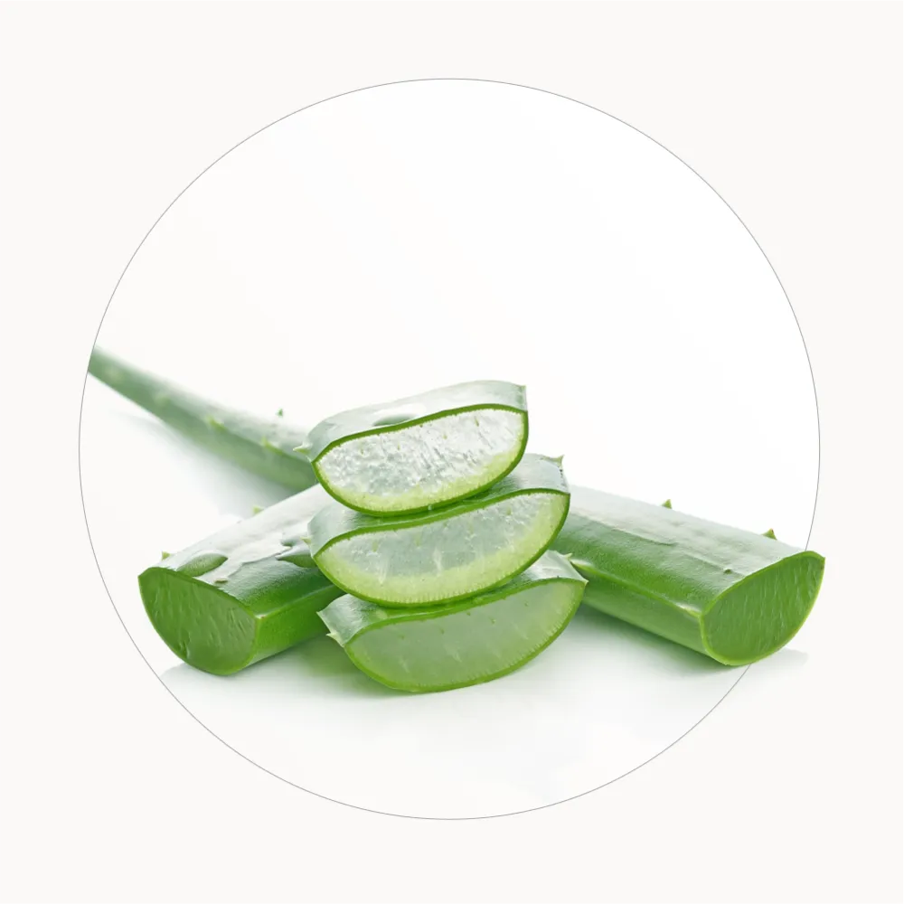 Estratto di Aloe Vera