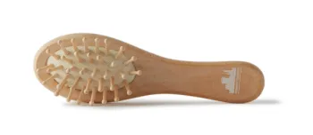 spazzola in legno naturale
